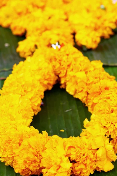 Marigold fleur sur le marché — Photo