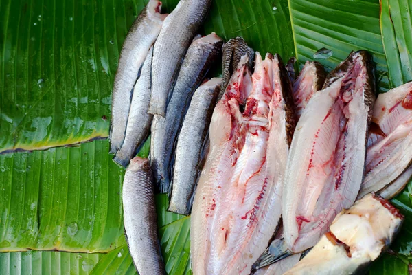 Fersk fisk på markedet. - Stock-foto