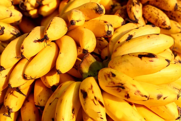 Närbild gul banan på marknaden — Stockfoto