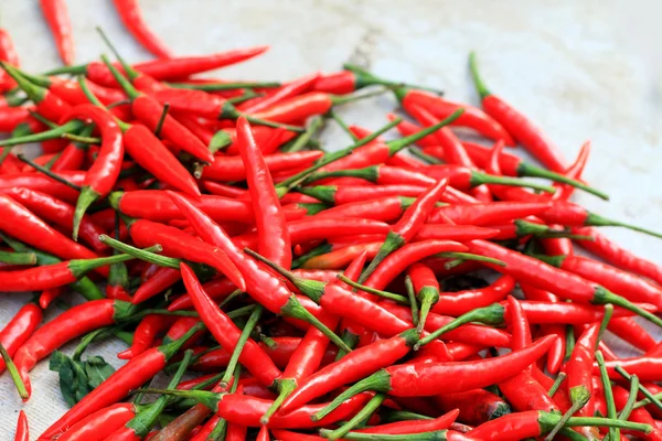 Red chili in the market — Stock Photo, Image