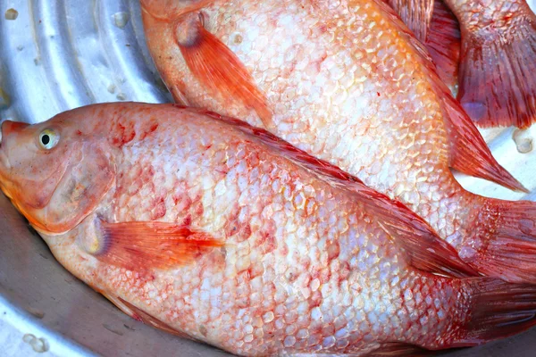 Pesce fresco sul mercato. — Foto Stock