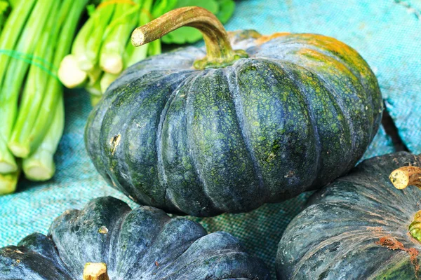 Zucca verde fresca sul mercato — Foto Stock