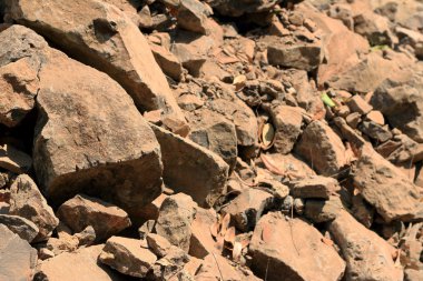 toprak doku arka plan