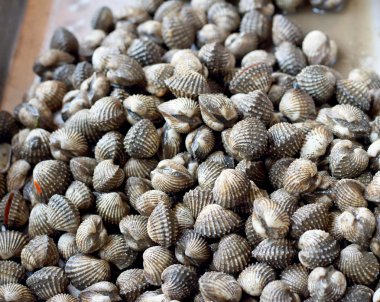 Markette taze istiridye