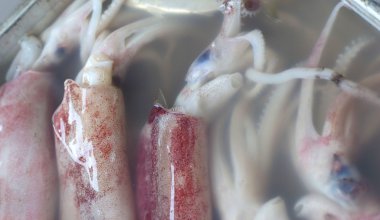 Piyasada taze mürekkep balığı