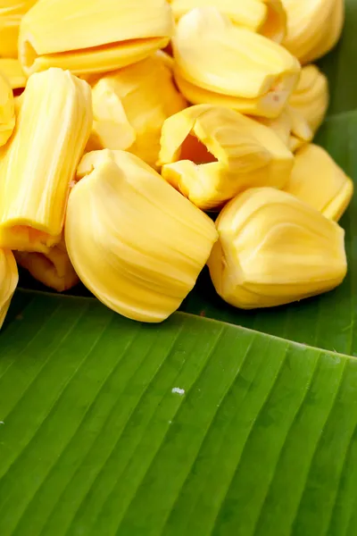 Jack fruit sur le marché — Photo