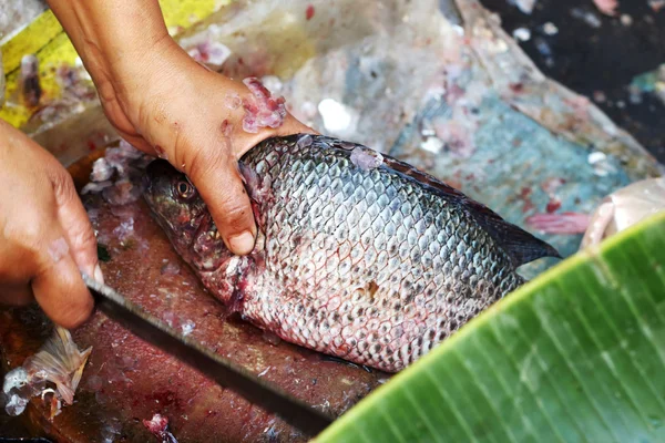 Fresh fish in the market. — Stock Photo, Image