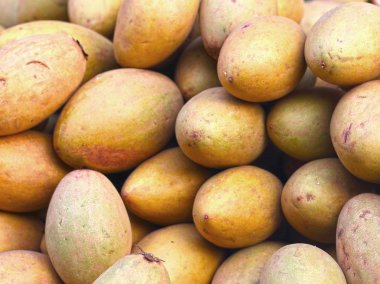 arka planda sapodilla meyve kazık.