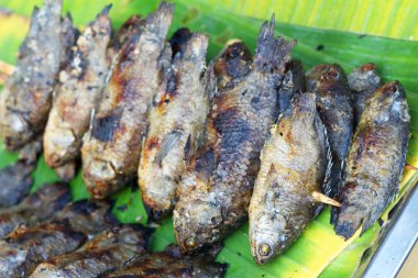 küçük ızgara balık Market