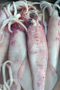 Piyasada taze mürekkep balığı