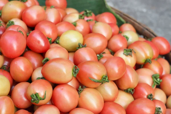 Frische Tomaten auf dem Markt — Stockfoto