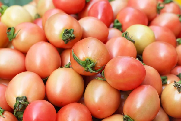 Pazarda taze domates — Stok fotoğraf
