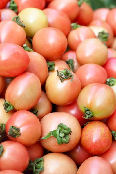 Свежие помидоры на рынке — стоковое фото