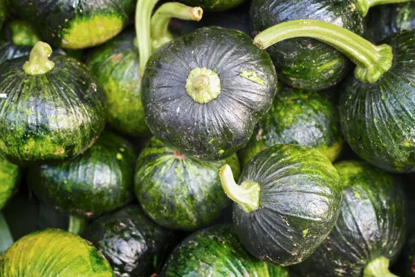Green pumpkins at the market — Stock Photo, Image