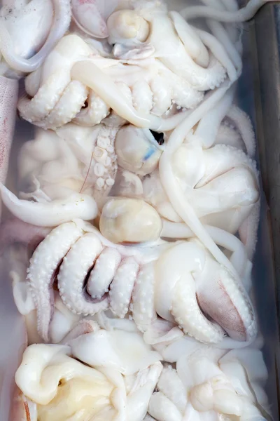 Calamares frescos en el mercado —  Fotos de Stock