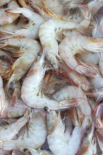 Fresh shrimp in market — Stock Photo, Image