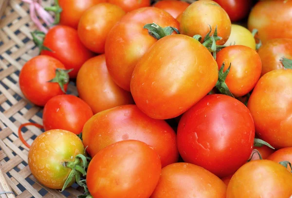 Frische Tomaten auf dem Markt — Stockfoto