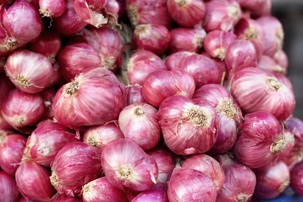 Échalote - oignon rouge asiatique sur le marché — Photo