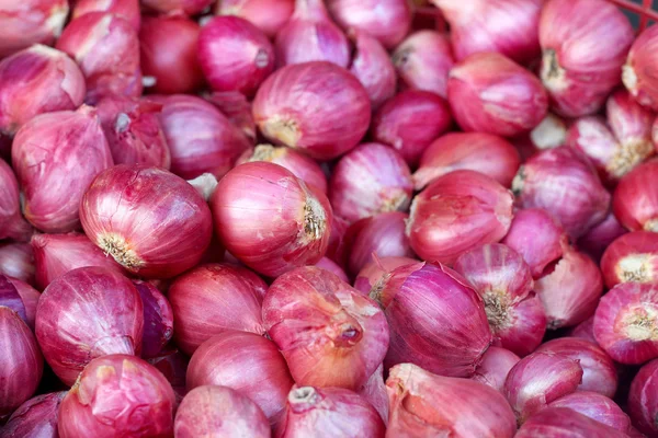 Scalogno - asiatica cipolla rossa nel mercato — Foto Stock