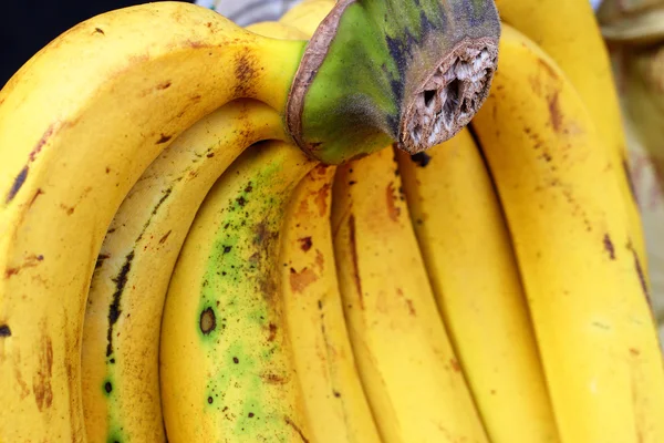 Bananenfruit op de markt — Stockfoto