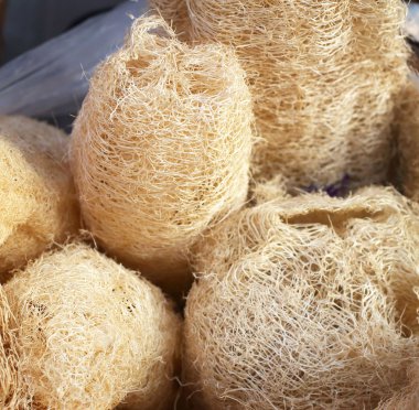 spa için Kuru fiber squash