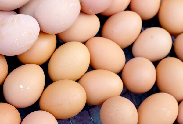 Gegrillte Hühnereier auf dem Herd. — Stockfoto