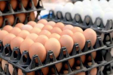 piyasa ahır, yumurta