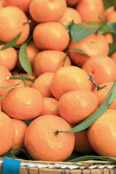 Orange frukter i marknaden — Stockfoto
