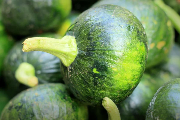 Green pumpkins at the market — Stock Photo, Image