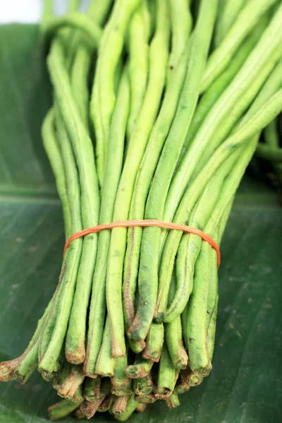 Haricot long sur le marché — Photo