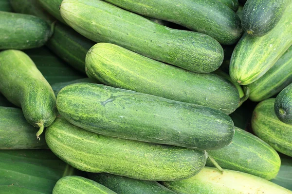 Fresh cucumber in the market — Stock Photo, Image