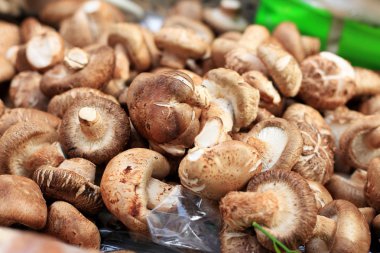 taze shiitake mantar zemin üzerine