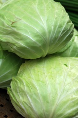 Pazarda taze lahana.