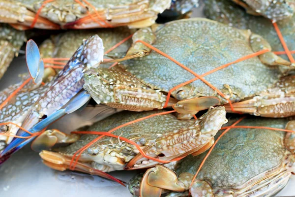 Frische Krabben auf dem Markt — Stockfoto