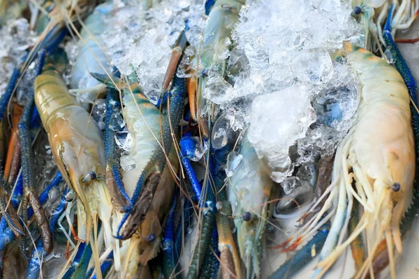 Fresh shrimp in market — Stock Photo, Image