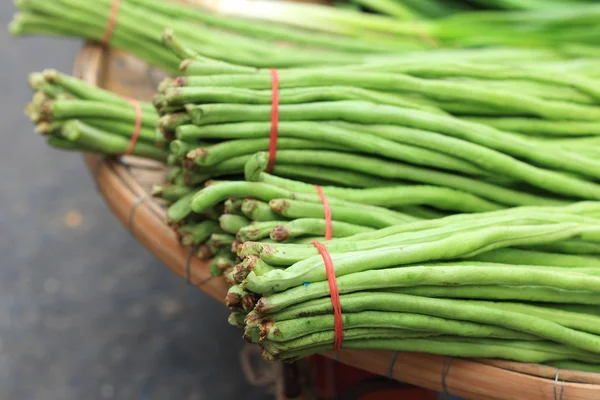 Haricot long sur le marché — Photo