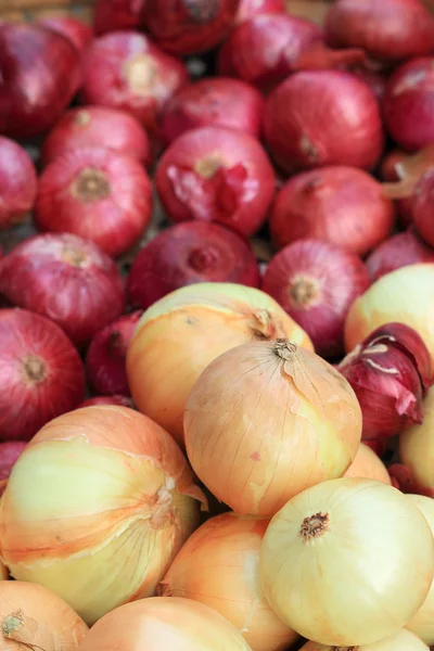 Cipolle e cipolle rosse sul mercato . — Foto Stock