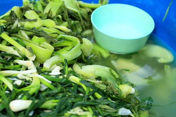 Färsk lök och ättikslag på marknaden. — Stockfoto