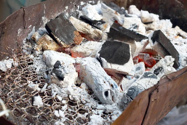 Fogo de carvão queimando no fogão — Fotografia de Stock