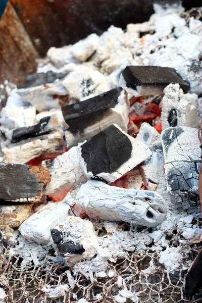 Holzkohlefeuer brennt im Ofen — Stockfoto