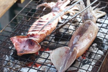 b-Barbekü Izgara kalamar piyasada