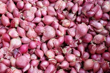 scalogno - cipolla rossa di asia nel mercato