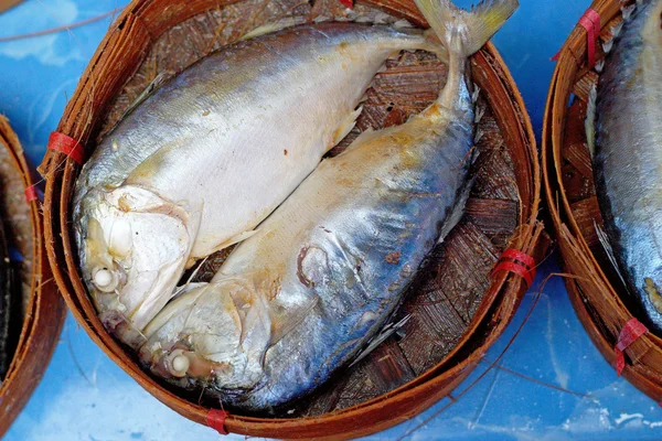 Mackerel fish in the market — Stock Photo, Image