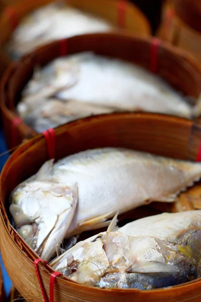 Mackerel fish in the market — Stock Photo, Image