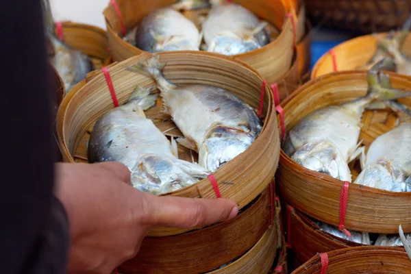 Mackerel fish in the market — Stock Photo, Image