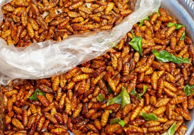 Kızarmış böcek yakın çekim