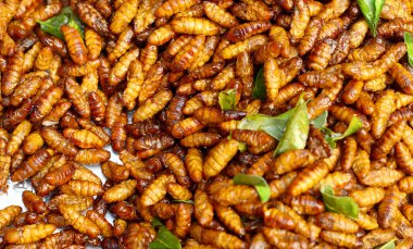 Kızarmış böcek yakın çekim