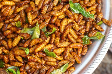 Kızarmış böcek yakın çekim