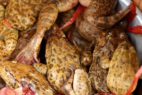 Carne fresca de rã no mercado — Fotografia de Stock