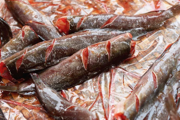 Färsk fisk på marknaden. — Stockfoto